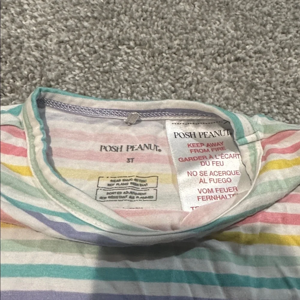 Posh Peanut Bamboo Pastel‎ Stripes Two Piece Long Sleeve Pajama Set 3T